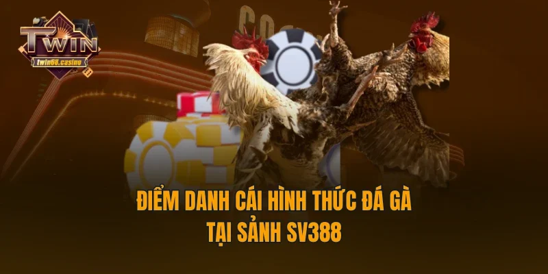 Điểm danh cái hình thức đá gà tại sảnh SV388